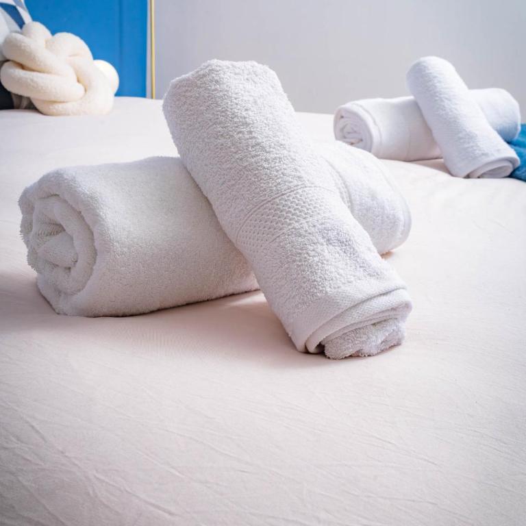 Elegance anglaise en hypercentre du Mans avec vidéoprojecteur, babyfoot et fléchette - Premium Apartment mit 3 Schlafzimmern - 54