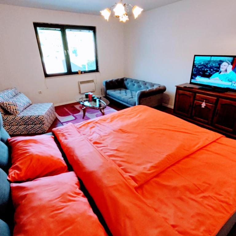 Apartment Zoo Garden - Apartman - 9