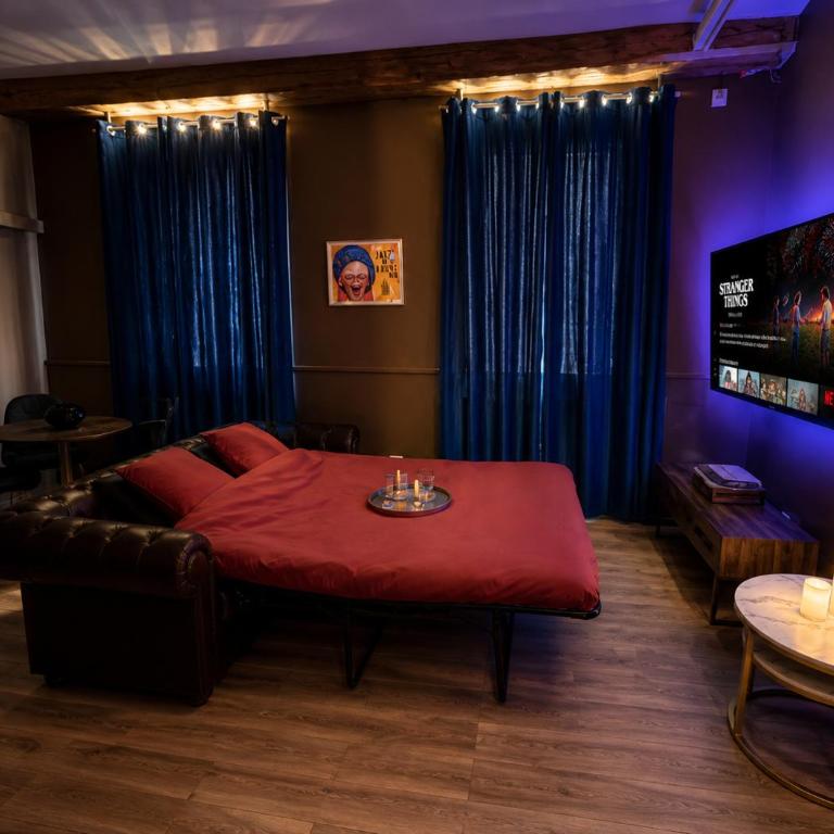 Cinéma & Ambiance Jazz Cosy au cœur de Vienne - Netflix - Hypercentre - Blue Note - France - Studio Familial - 34