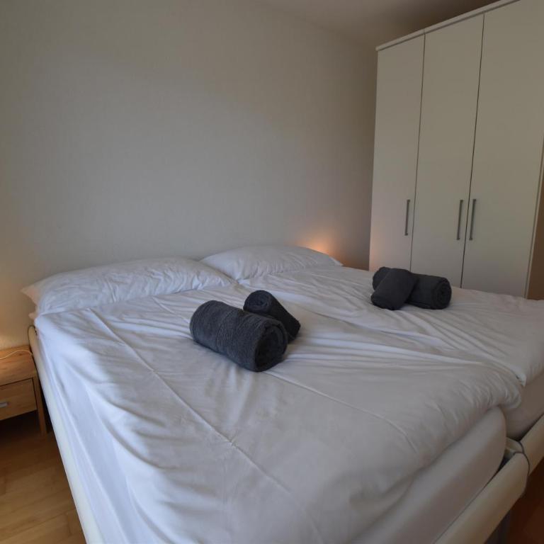 Appartement ensoleillé 4 personnes à Saillon à 100 mètres des bains - Apartment mit 1 Schlafzimmer - 9