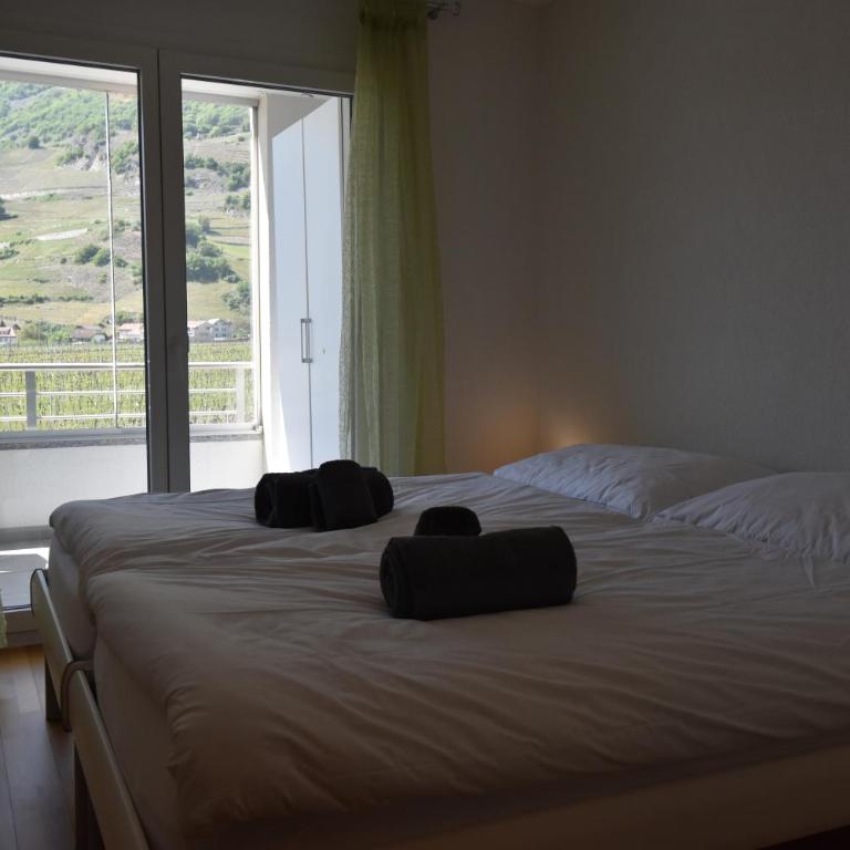 Appartement ensoleillé 4 personnes à Saillon à 100 mètres des bains - Apartment mit 1 Schlafzimmer - 20