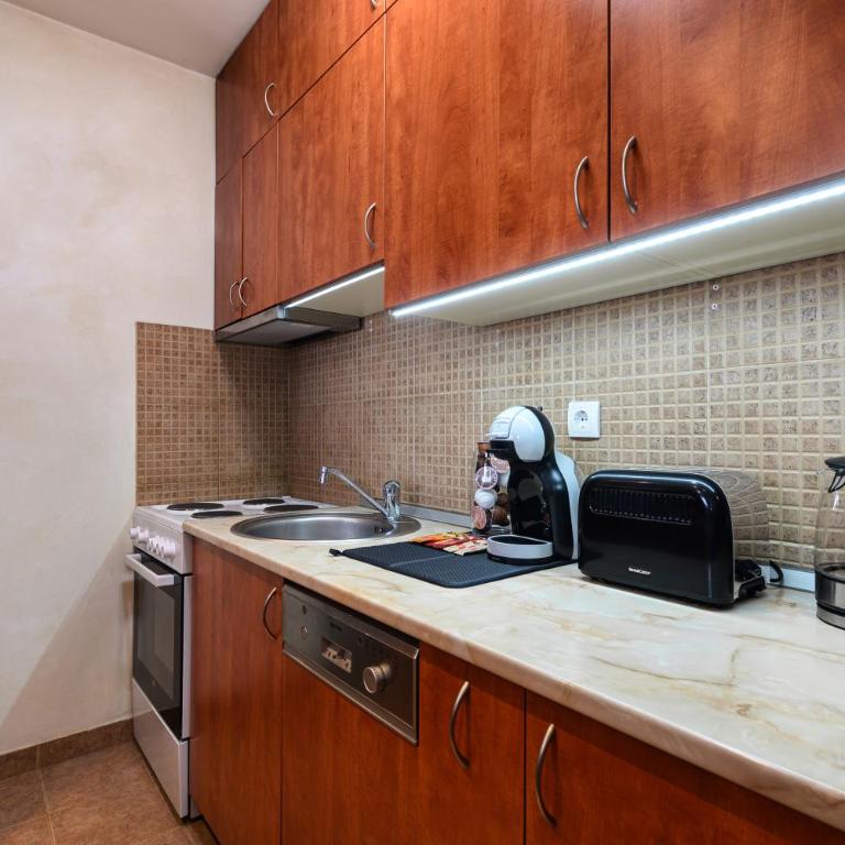Maxim Duplex Vracar - 3BR with Private Parking - Apartman sa 3 Spavaće Sobe - 5