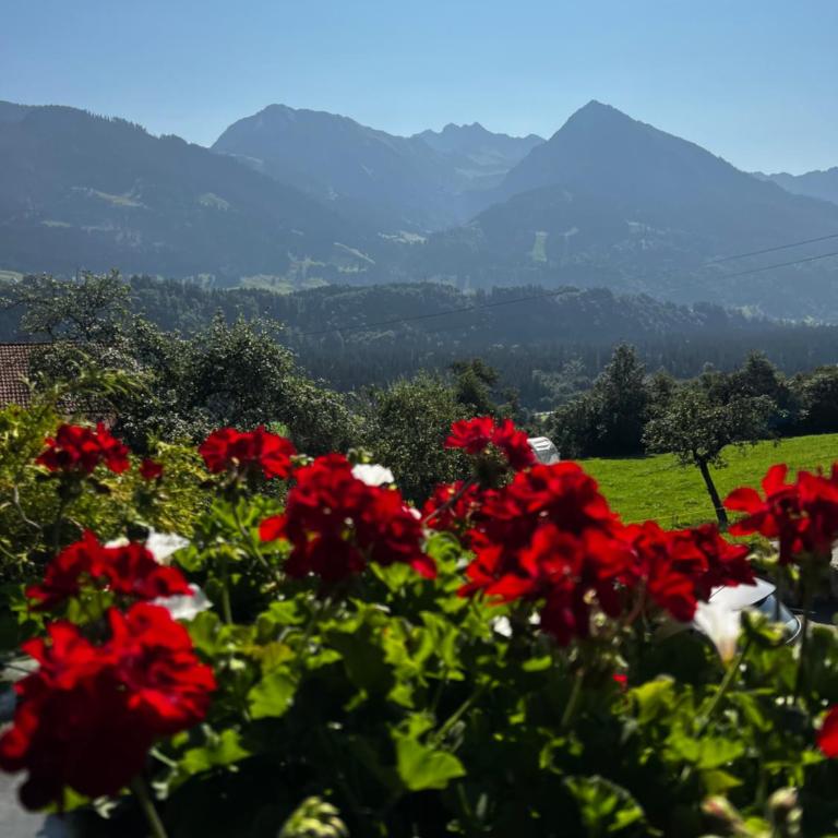 Gästehaus Alpenruh - Apartment mit 1 Schlafzimmer und Balkon - 5