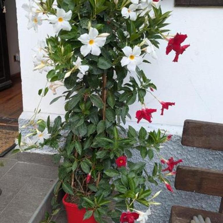Il Giardino dell'Eden - Appartamento con 3 Camere da Letto - 12