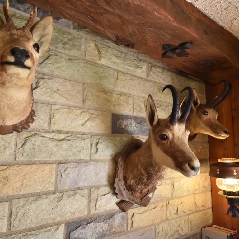 Grand Chalet Vercorin pour 10 personnes avec jardin BBQ parking privé et sauna - Chalet - 41