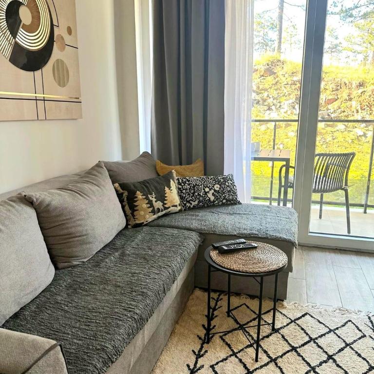 Apartman Eden Divčibare - Apartman sa 1 Spavaćom Sobom, Balkonom i Pogledom na Planinu - 4