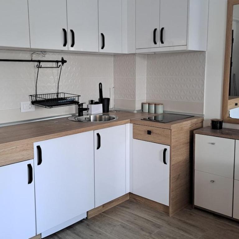 Apartman Eden Divčibare - Apartman sa 1 Spavaćom Sobom, Balkonom i Pogledom na Planinu - 19