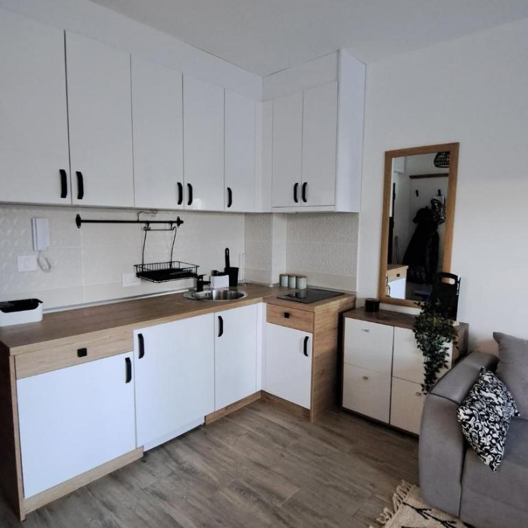 Apartman Eden Divčibare - Apartman sa 1 Spavaćom Sobom, Balkonom i Pogledom na Planinu - 31