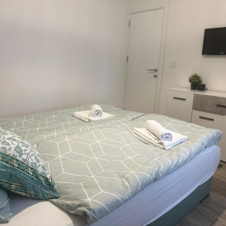Apartman Eden Divčibare - Apartman sa 1 Spavaćom Sobom, Balkonom i Pogledom na Planinu - 37
