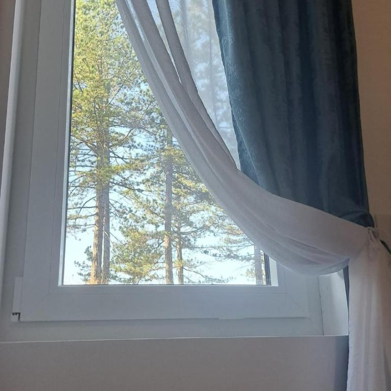 Apartman Eden Divčibare - Apartman sa 1 Spavaćom Sobom, Balkonom i Pogledom na Planinu - 40