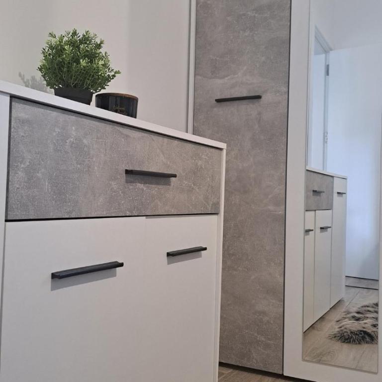 Apartman Eden Divčibare - Apartman sa 1 Spavaćom Sobom, Balkonom i Pogledom na Planinu - 41