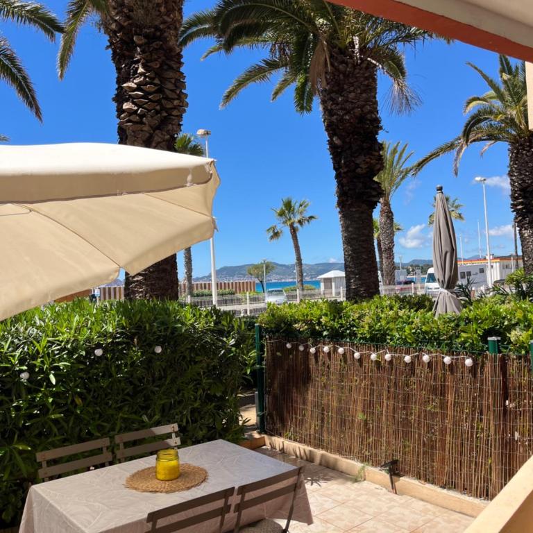 "Les Palmiers" Studio spacieux vue mer Terrasse & Parking - Appartement - Vue sur Mer - 11