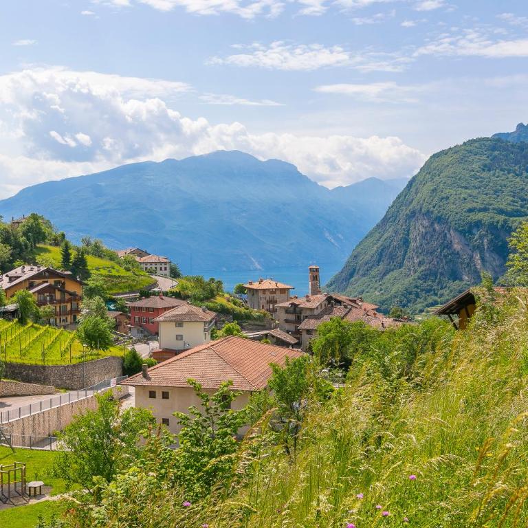 Private Green Oasis - Terrace - Happy Rentals - Maison de Vacances - 28