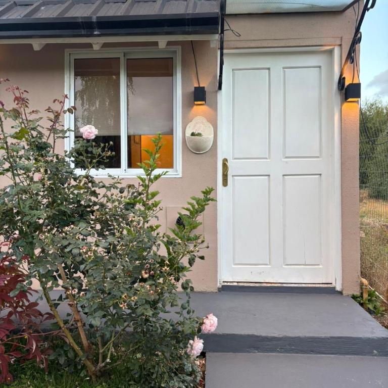 Aires del Sur Tempo - Apartamento de 1 dormitorio - 19