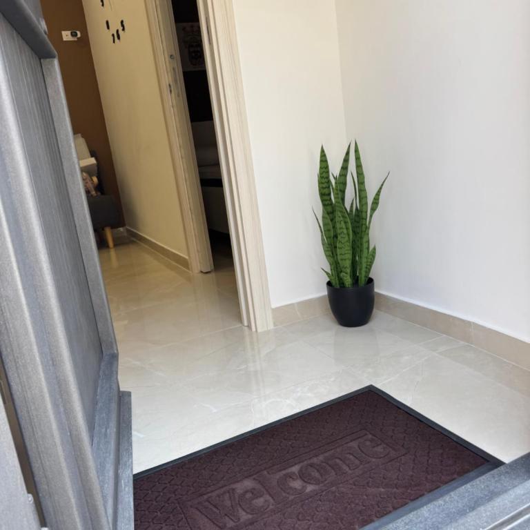 Suite Rindone - One-Bedroom Apartment - 21