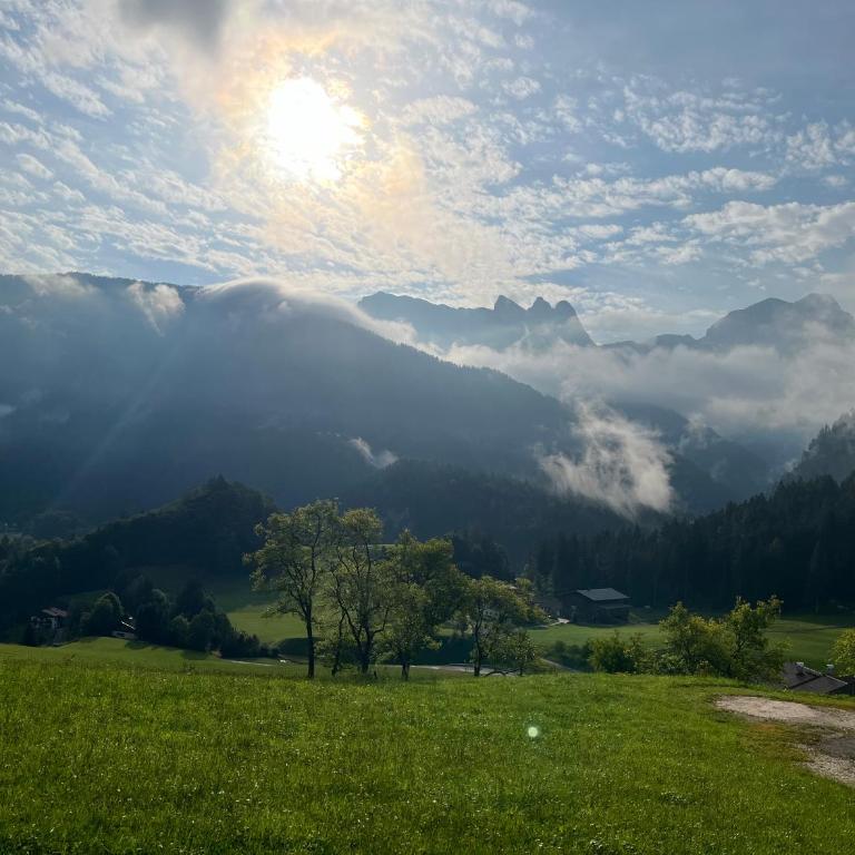 Ferienwohnung Niederbergerhof - Two-Bedroom Apartment with Mountain View - 4