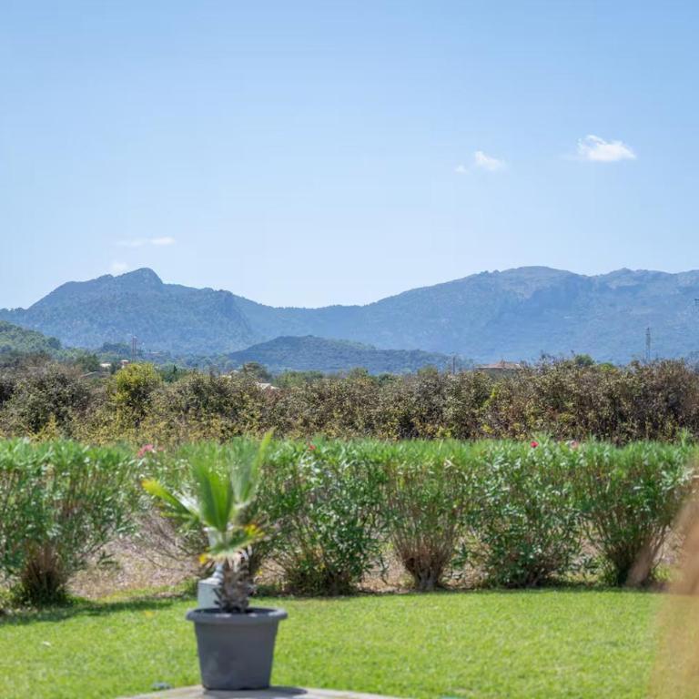 Can Sucrer - Casa Vacacional de 3 dormitorios - 25