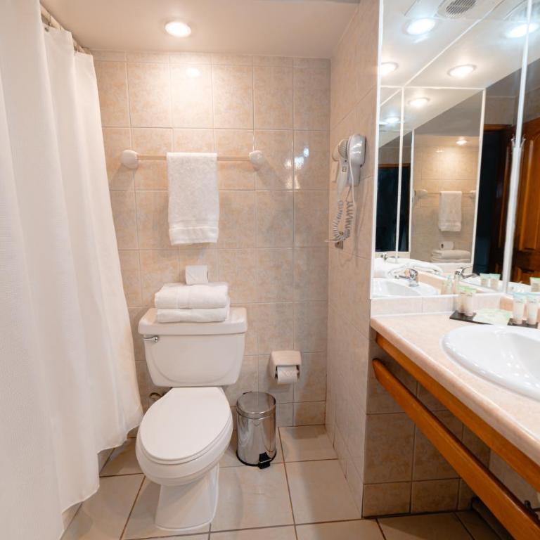 Hotel Casa Nogales - Deluxe Twin Room - 10