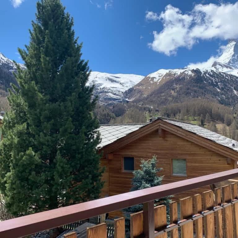Matterhorn Panorama Apartment - Apartamento - 18