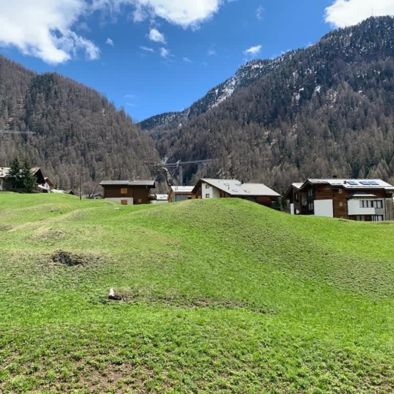 Matterhorn Panorama Apartment - Apartamento - 21