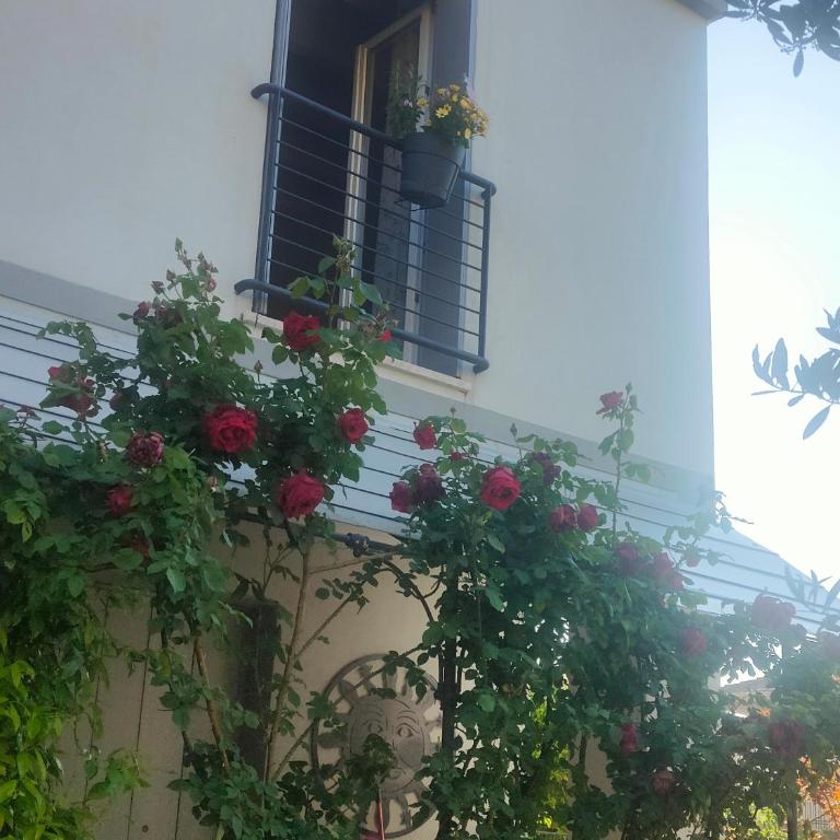 Appartamento In Villa - Appartamento con 1 Camera da Letto - 12