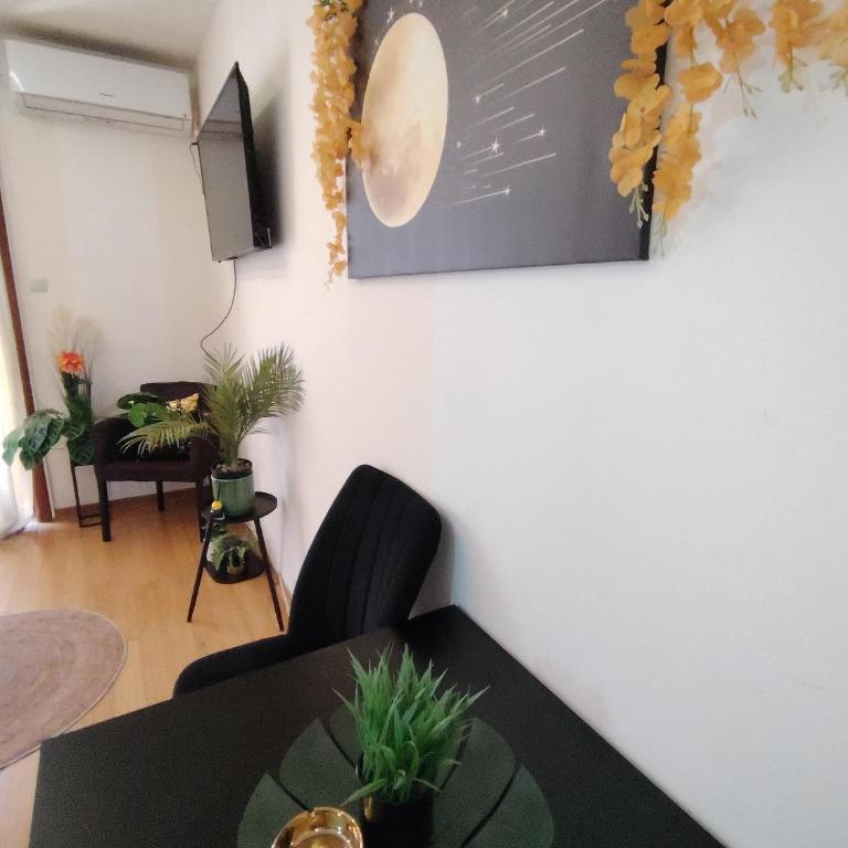 BG apartman - Appartement - 56
