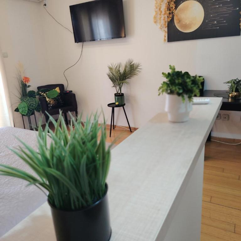 BG apartman - Appartement - 60