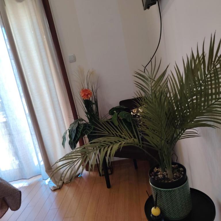 BG apartman - Appartement - 62