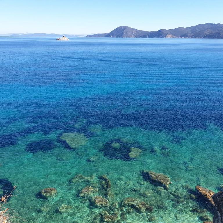 Bilocale La Marea - Goelba - Appartamento con 1 Camera da Letto - 23