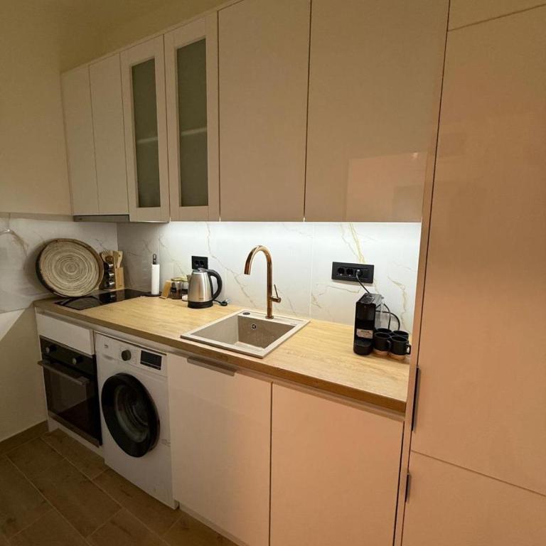 Dorcol lux - Apartman sa 1 Spavaćom Sobom - 2