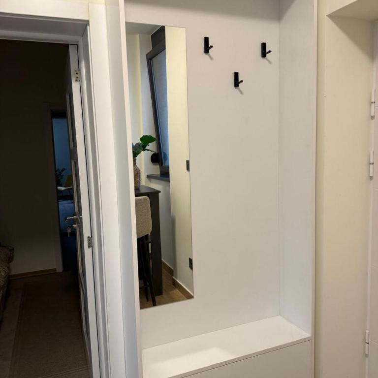 Dorcol lux - Apartman sa 1 Spavaćom Sobom - 3