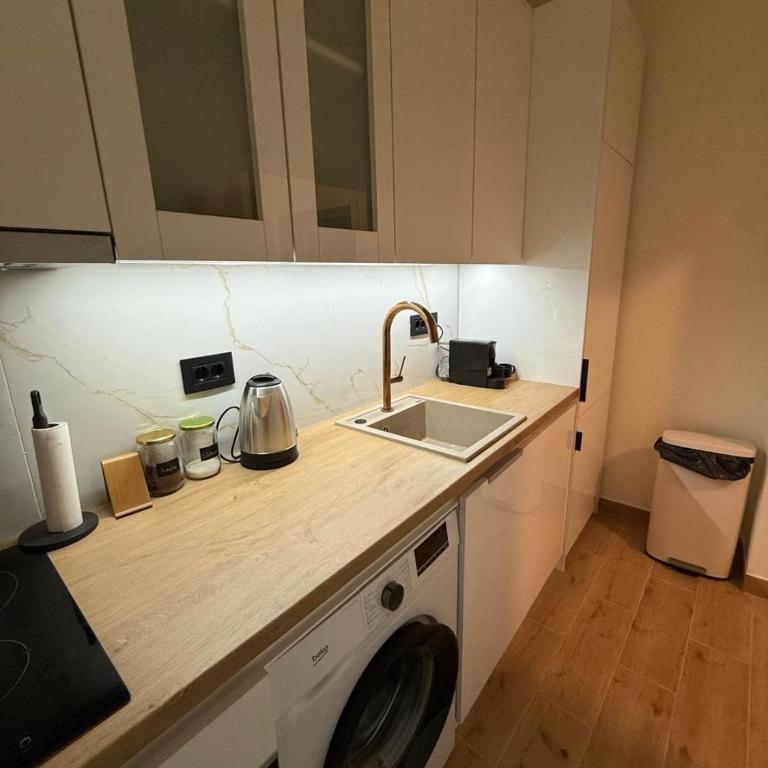 Dorcol lux - Apartman sa 1 Spavaćom Sobom - 5