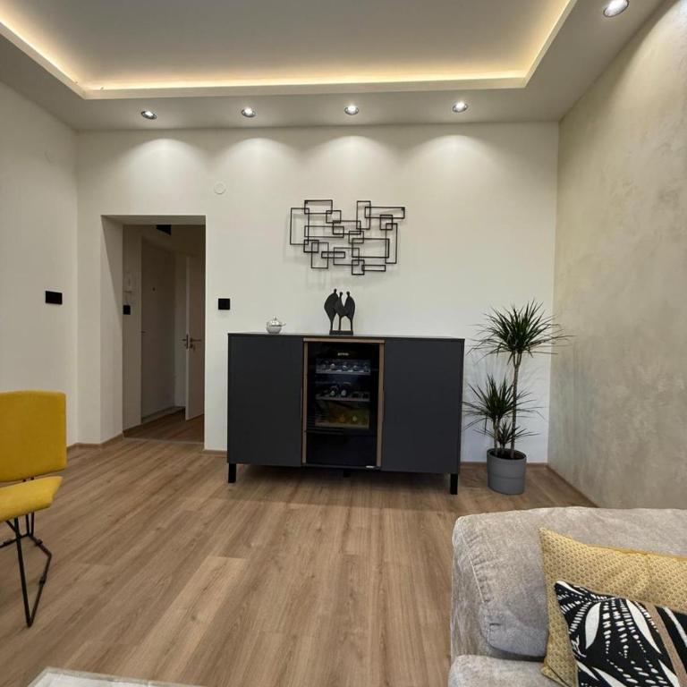 Dorcol lux - Apartman sa 1 Spavaćom Sobom - 10