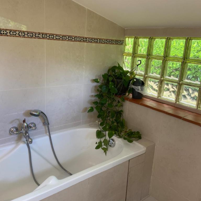 Beautiful spacious family villa - Villa 2 Chambres - 46
