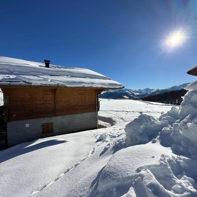 Chalet la Chaumière A -10 personnes- Les Saisies - Chalet - 48