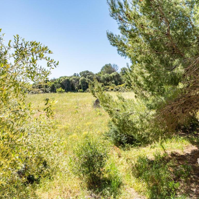 Blu Gallura - One-Bedroom Apartment - 35
