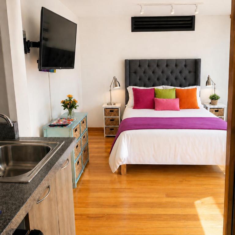 Coyoacan Frida's Favorite Loft - One-Bedroom Apartment - 3