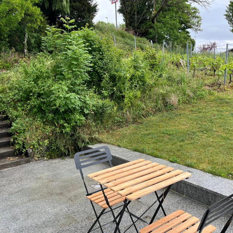 Renovated APT with panoramic view - Deluxe Apartment mit 2 Schlafzimmern und Gartenblick - 31