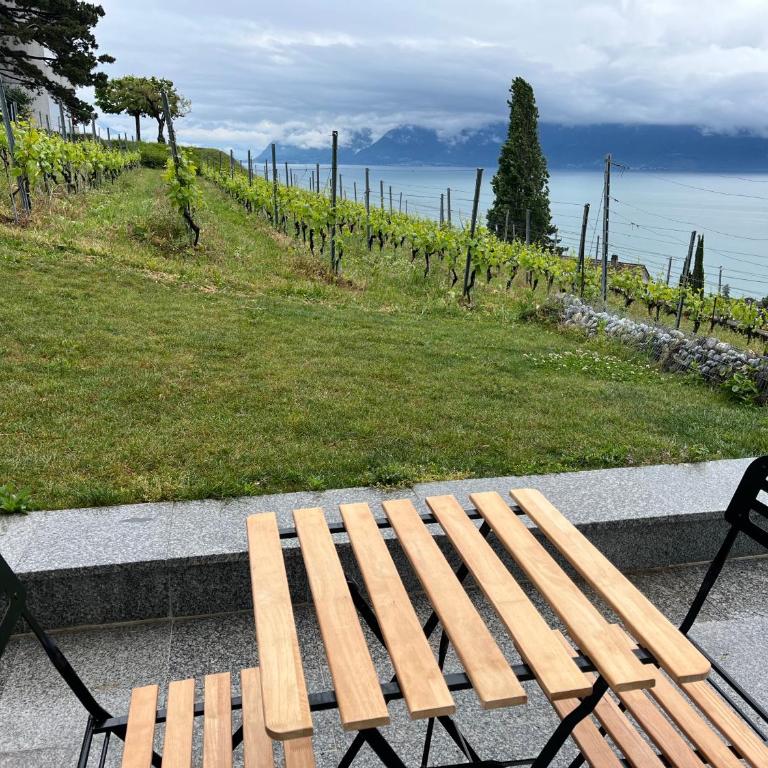 Renovated APT with panoramic view - Deluxe Apartment mit 2 Schlafzimmern und Gartenblick - 32