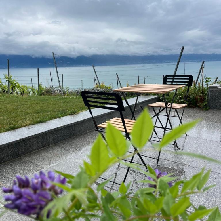 Renovated APT with panoramic view - Deluxe Apartment mit 2 Schlafzimmern und Gartenblick - 33
