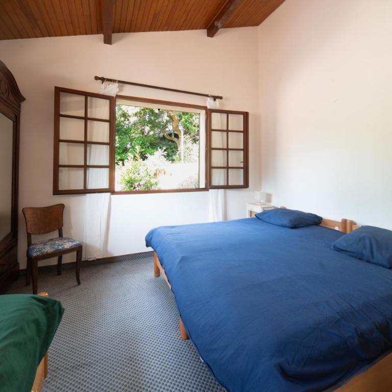 Hossegor. Villa La Grimpette entre lac et océan. Wifi gratuit. - Maison 4 Chambres - 9