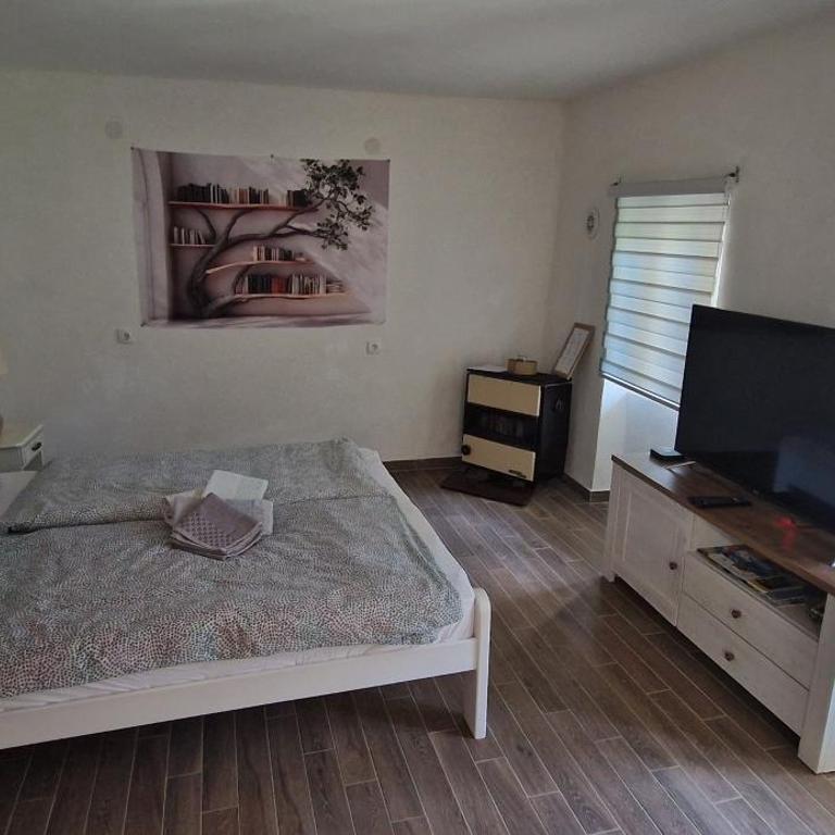 Stan na dan Dunja - Apartman sa 2 Spavaće Sobe - 3
