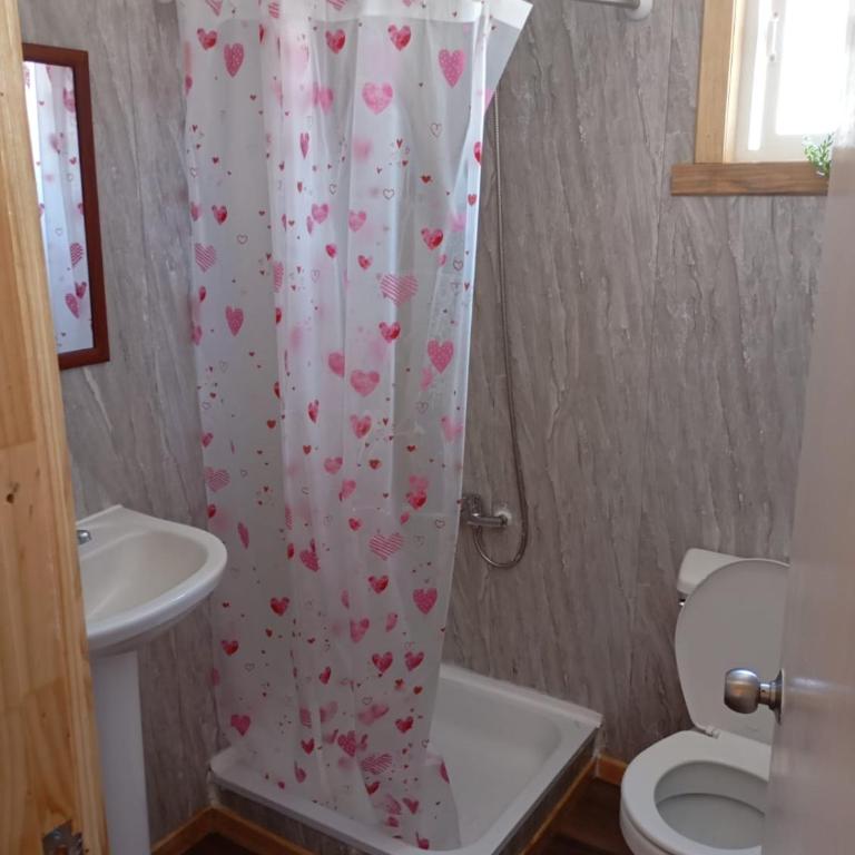 VILLARRICA 2026 y 2027 - One-Bedroom Apartment - 9