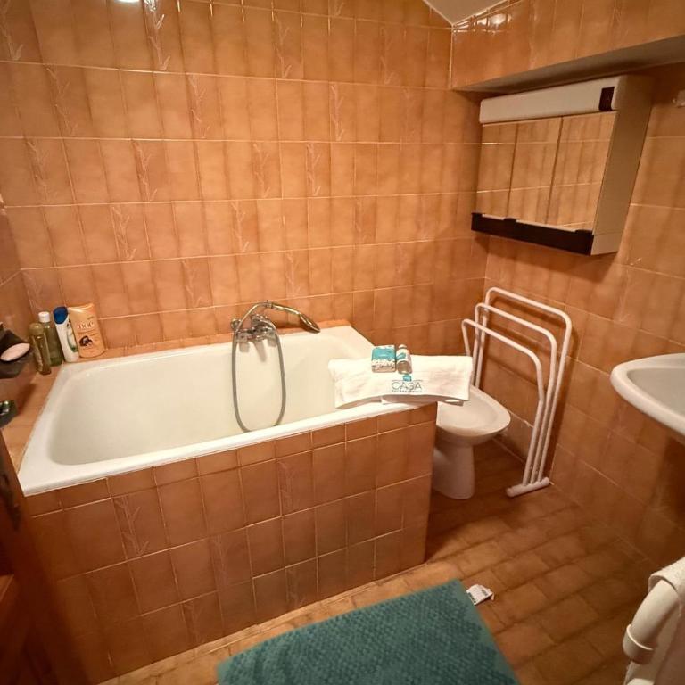 MY CASA - St Martin-Vesubie - Charming 1-Bedroom Apartment Nature & Mountain Getaways - Appartement - 39