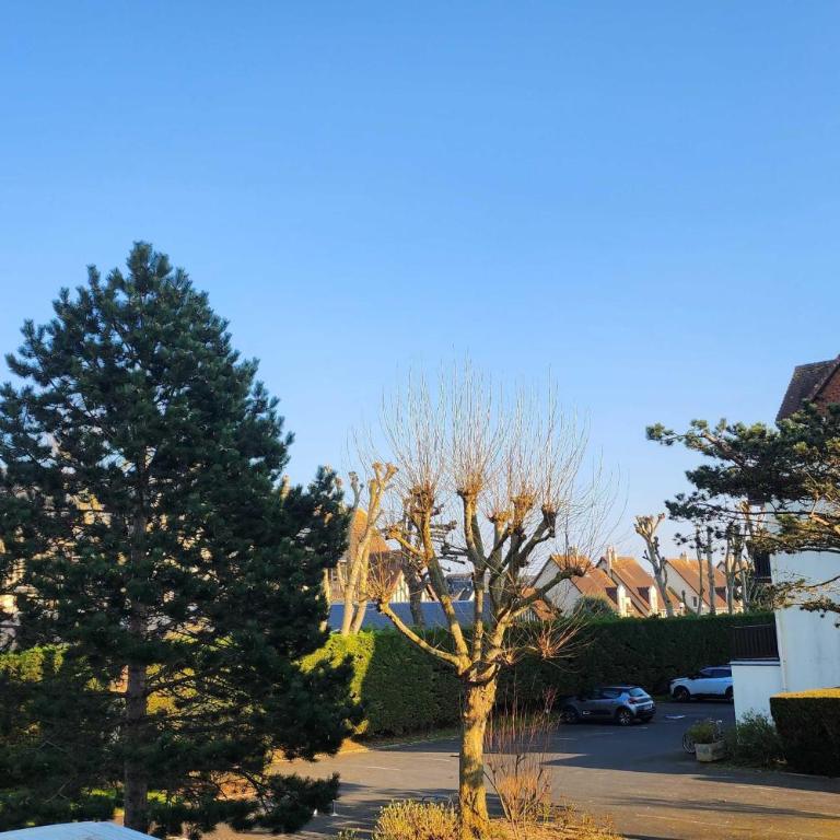 Nice T2 with balcony - near beach - Appartement - 13