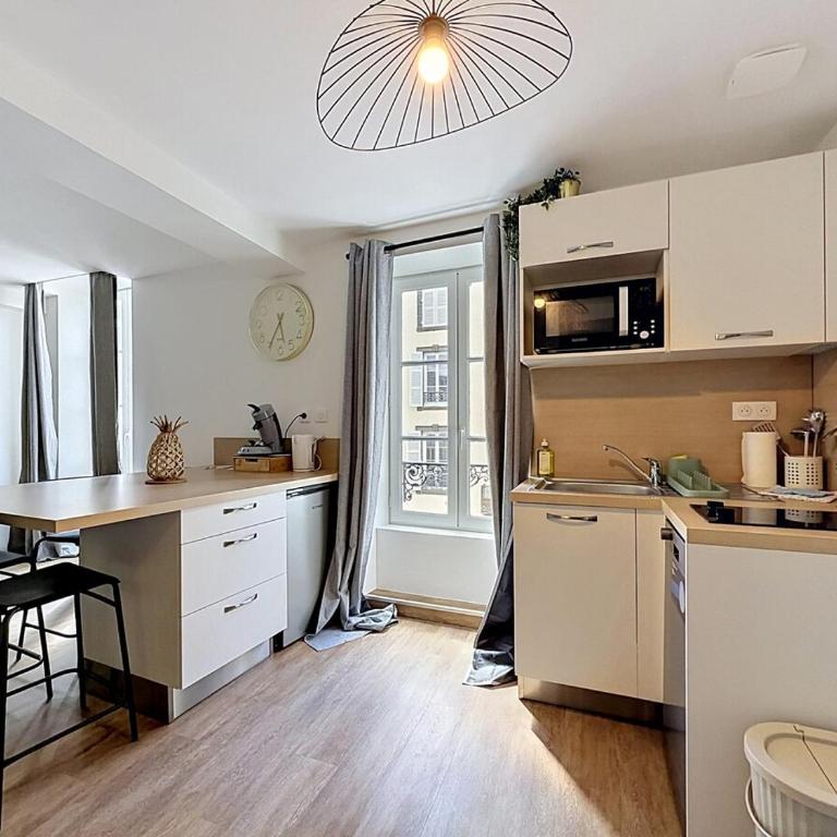 Souvenir Les suites d Hiver - Appartement 1 Chambre - 6