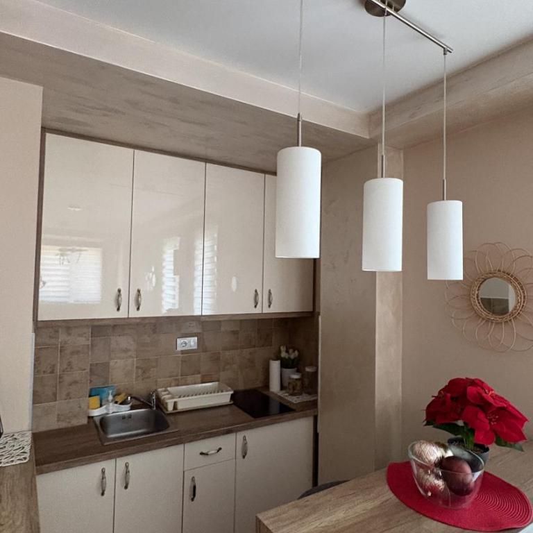 Bokica 1 Apartman Zlatibor - Apartman sa 1 Spavaćom Sobom - 3