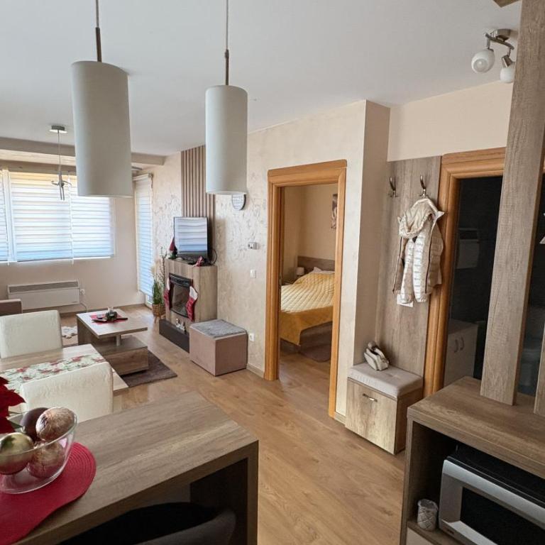 Bokica 1 Apartman Zlatibor - Apartman sa 1 Spavaćom Sobom - 2