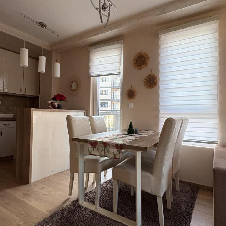 Bokica 1 Apartman Zlatibor - Apartman sa 1 Spavaćom Sobom - 10