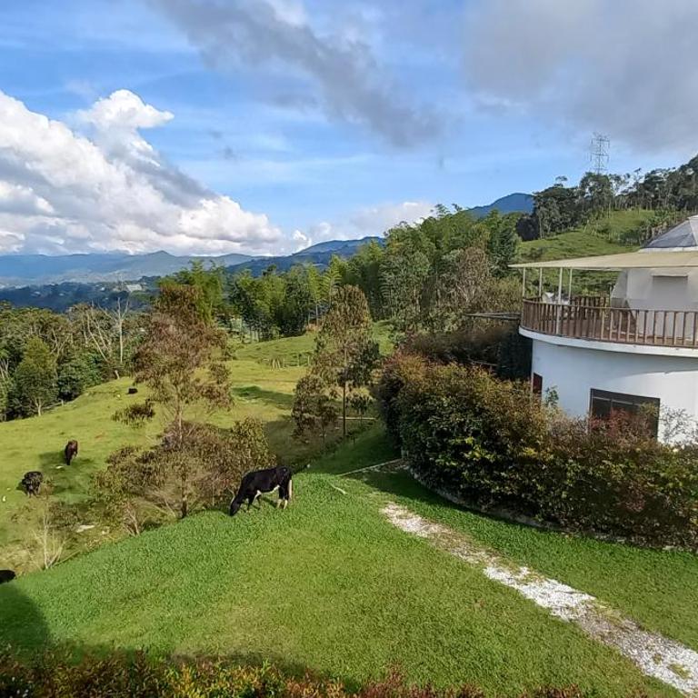 Cinco Elementos Glamping - One-Bedroom House - 21